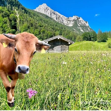 Sparfuchs - Fewo Resi Mittenwald Bagian luar foto
