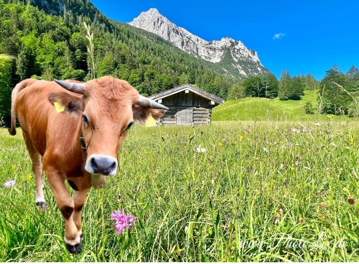 Sparfuchs - Fewo Resi Mittenwald Bagian luar foto